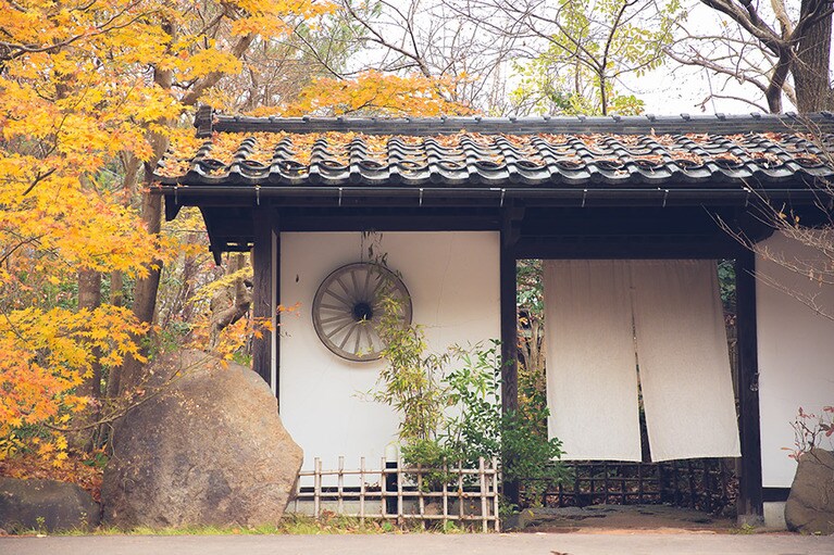 鄙びた風情が趣味のよさを物語る門構え。