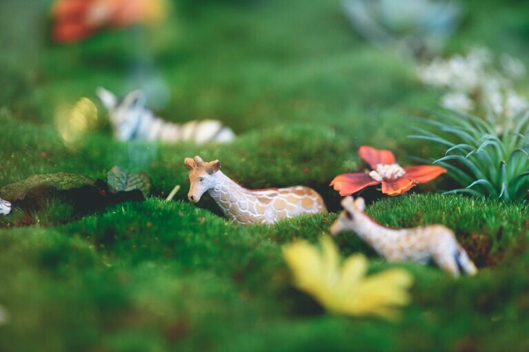 テーブルの中、草原を歩く動物たちがかわいい。季節によってアレンジを変えている。