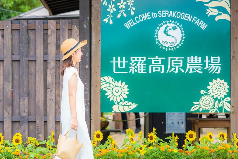 世羅高原農場の「ひまわりまつり」。