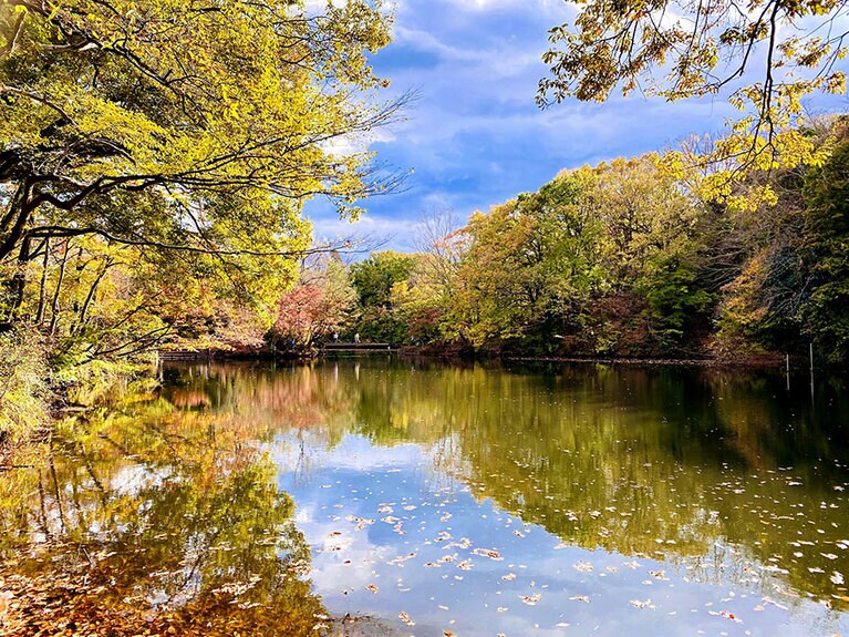 【神奈川県】震生湖の紅葉。