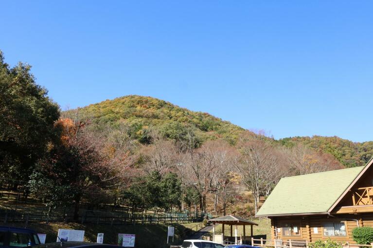 駐車場から北西に目をやると山口城が見える