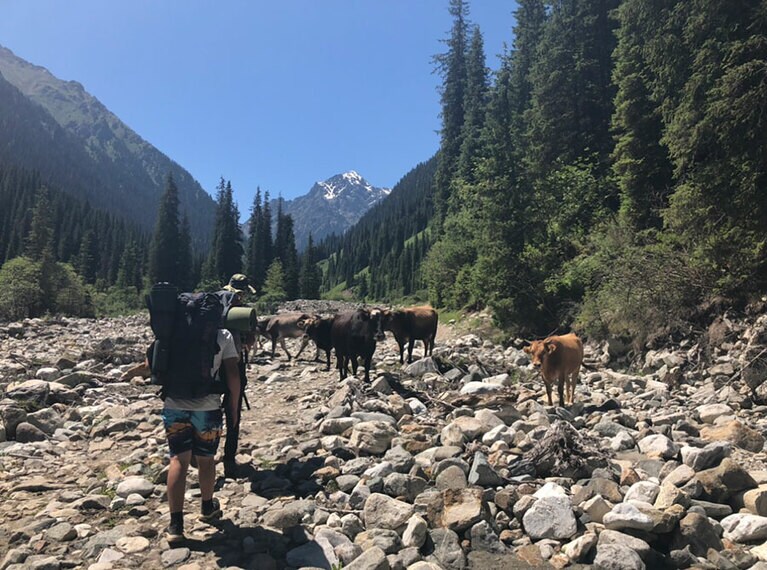 砂利道を越えて。