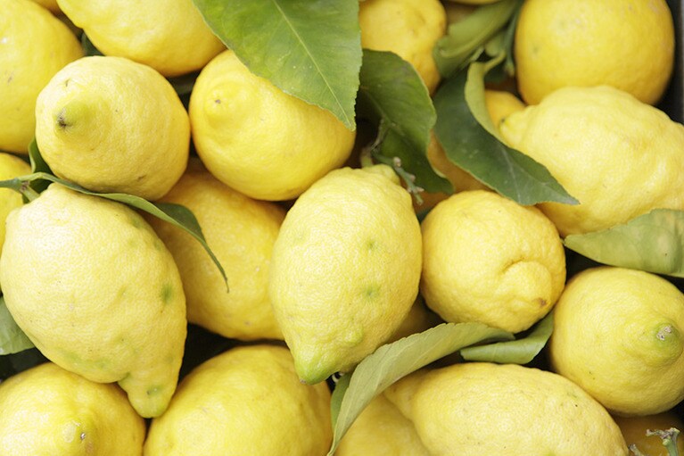 「手元に『Lemon』のCDがなかったので、レモンの写真でご勘弁ください」。CREA WEB編集長からの心遣いは温かくありがたいが、見ていると口に唾液が溜まってくる。