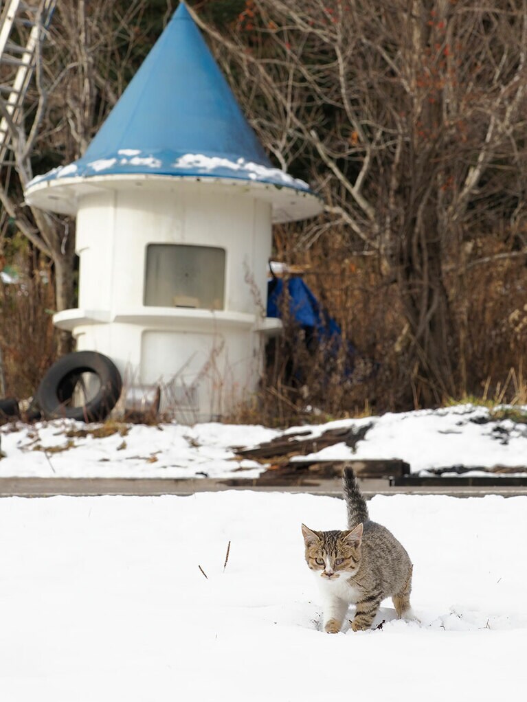 「ニャンだこれ??　しろくてちべたいのニャ!!」