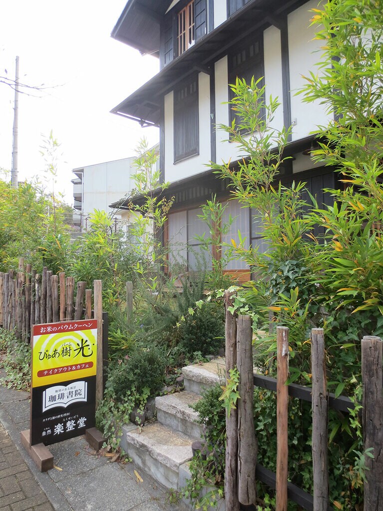 ぴゅあ樹(バーム)光。