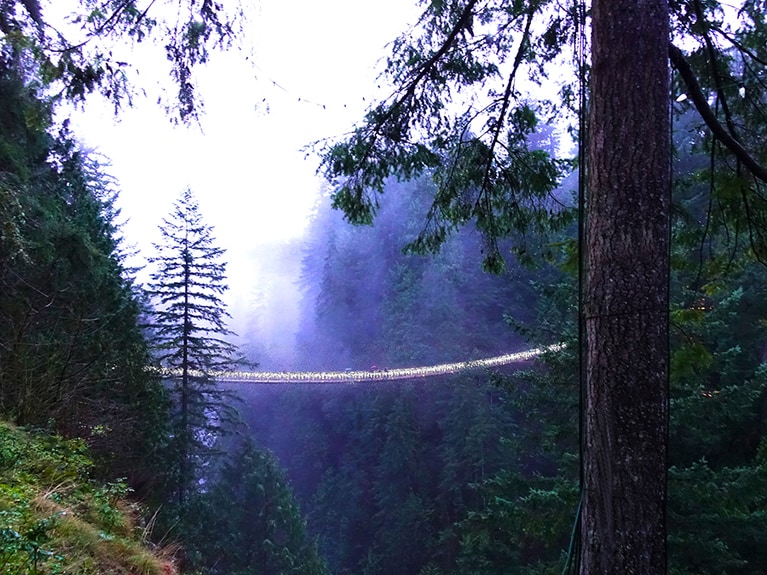 日が暮れる17時近く、ライトアップされた吊り橋が浮かび上がる。