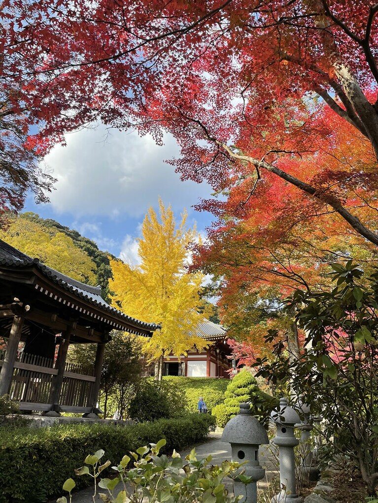 久安寺の紅葉／大阪府