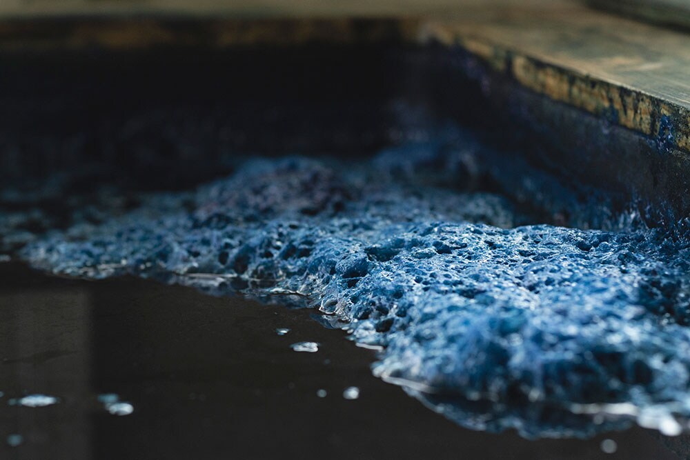 勢いよく咲く“藍の華”は染料の発酵状態が良好な証。