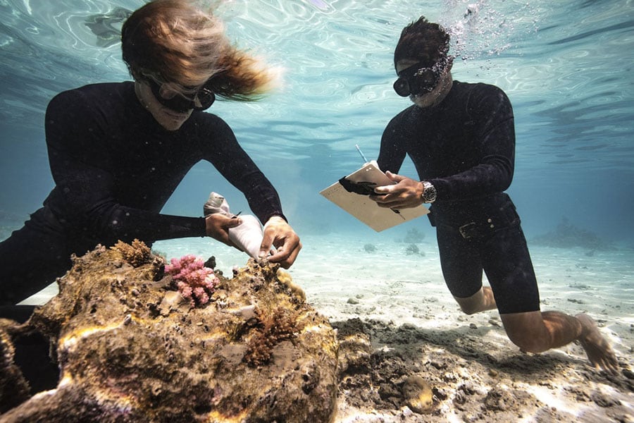 サンゴの破片を写真に撮り、採取した場所などを記録しデータ化している。©️Rolex