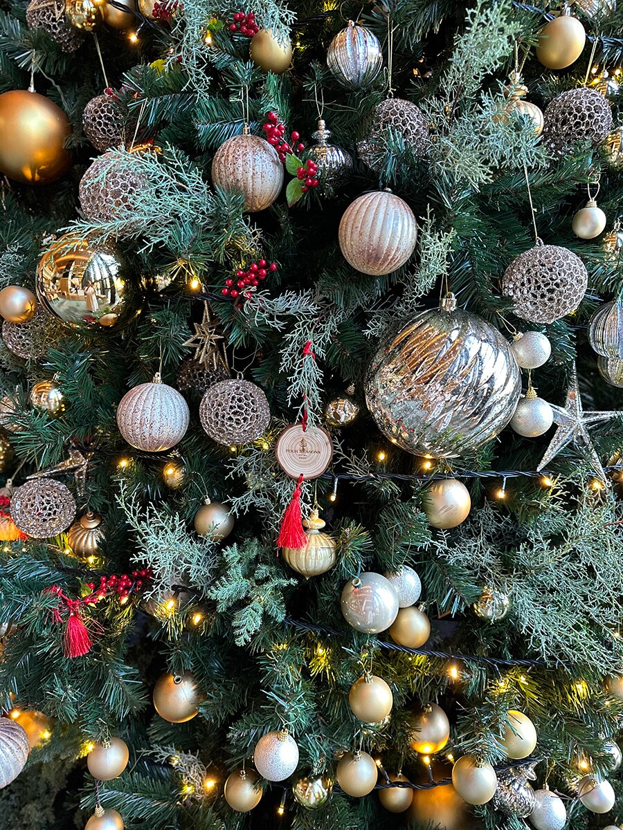 【フォーシーズンズホテル京都】 平安時代から続く名庭とクリスマスツリーが溶け合う風景 | ホテルのクリスマスツリー | 写真 | 4枚目