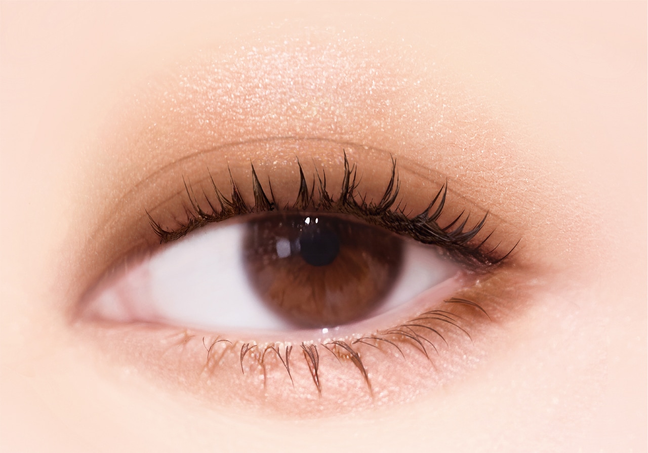 ＳＫ０１　トゥルーブラウン 使用イメージ。