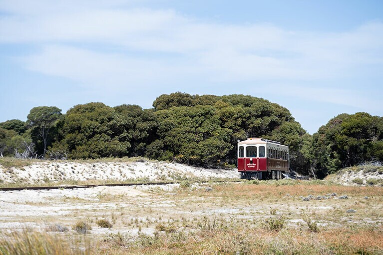 かわいい電車は現役。