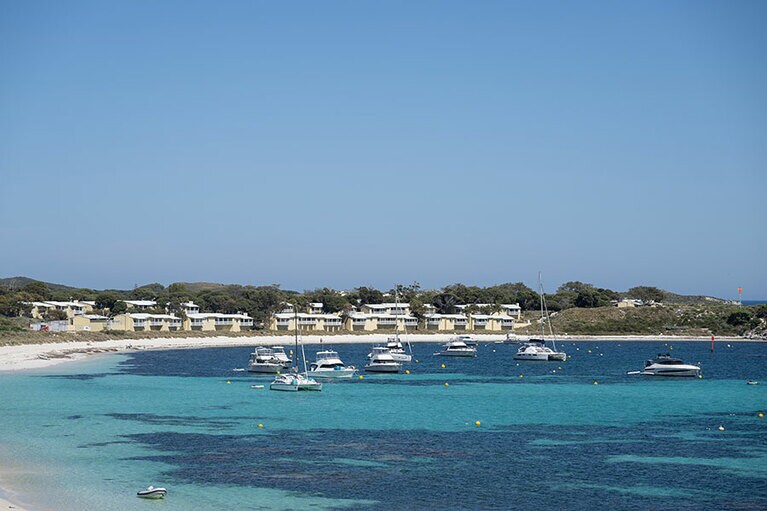 船がたくさん。