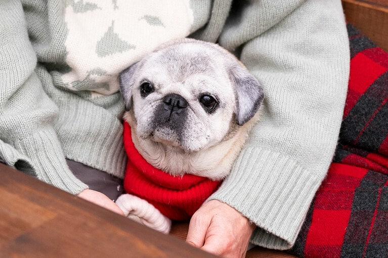 アザーカット。