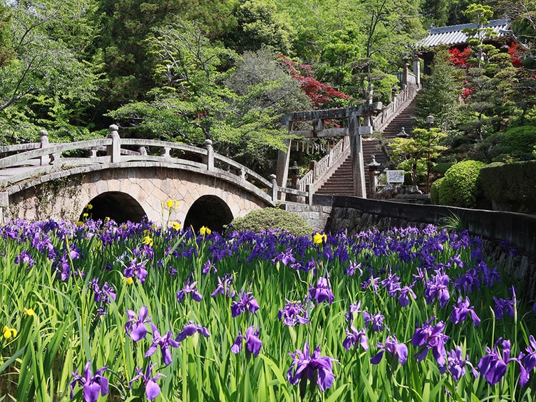【岡山県】菅原神社。