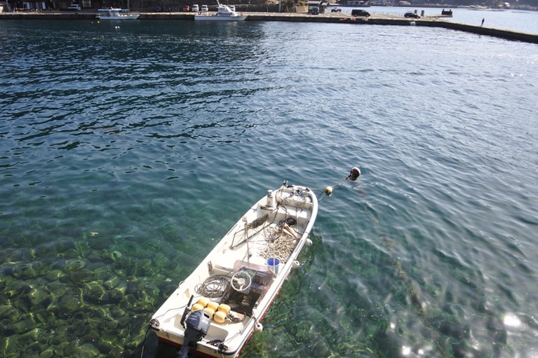 この透明度の高さ！