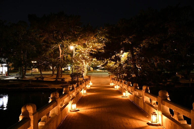 大濠公園ウィンターイルミネーション。