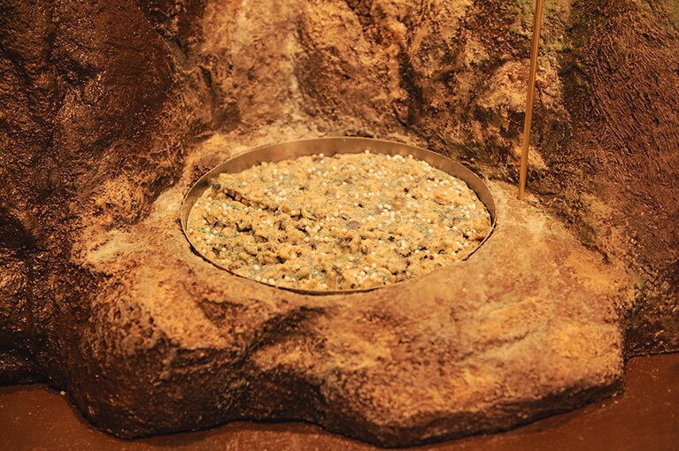 チョコレートの山脈には様々なお味が。