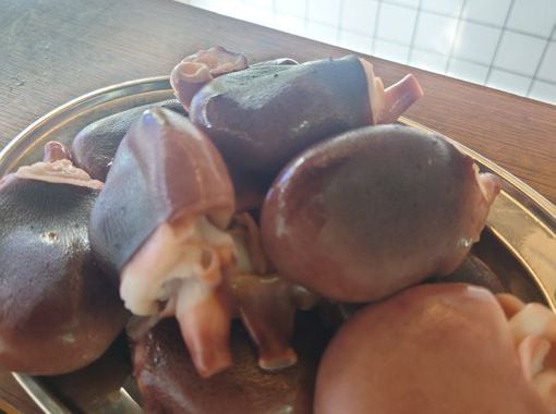 仕入れたタコのあたま（籾山店主撮影）