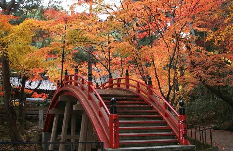 今高野山の紅葉／広島県