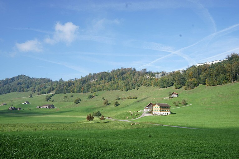 ホテル施設がある丘から続くなだらかな斜面では乳製品や果物などが作られている。