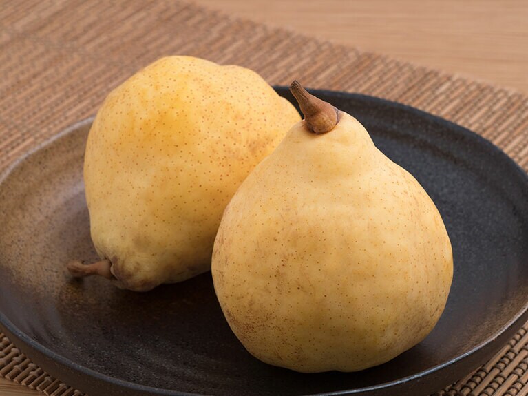 ル・レクチエ。写真：アフロ