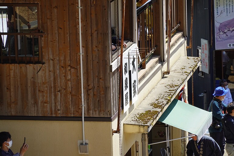 対戦中の牛はひと目で分かる。