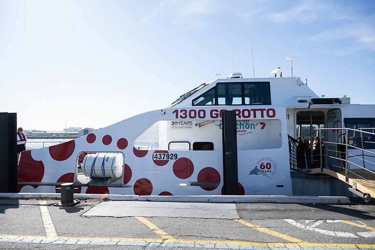 ロットネスト島とパースを結ぶフェリー。