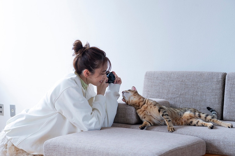 猫たちも新しいカメラに興味津々！