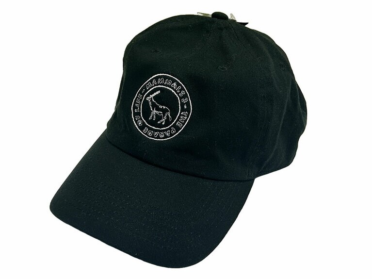 NAIJELGRAPH_キャップ