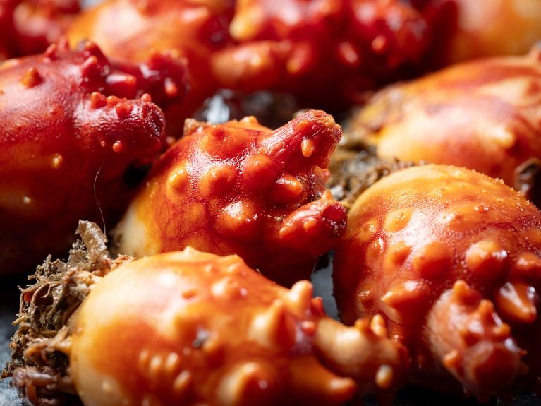 新鮮なホヤは海の味。写真：Faustostock/イメージマート