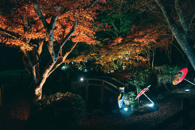 尾関山公園の紅葉とライトアップ。写真：一般社団法人三次観光推進機構提供