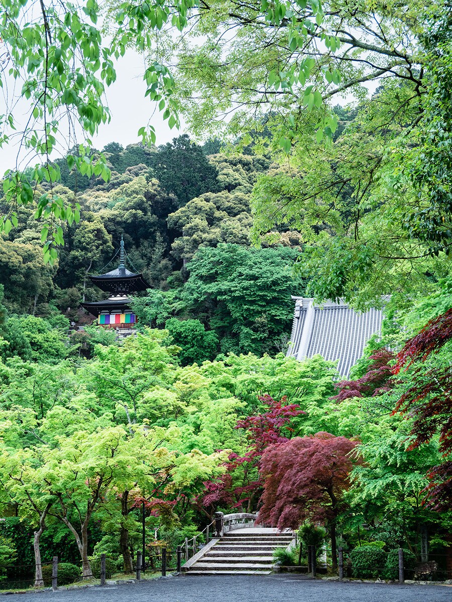 永観堂禅林寺の創建は853年。長い歴史がこの境内には刻まれている。