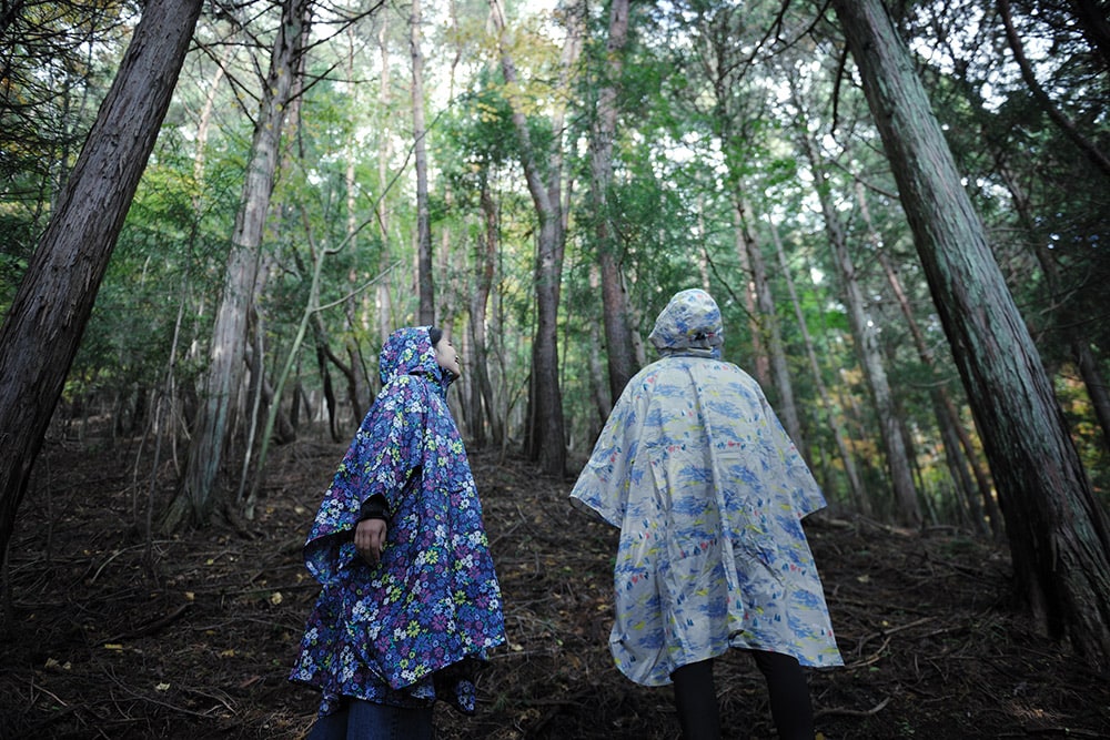 【星のや富士】雨で潤う森を巡る“潤いの森ディスカバーウォーク”は、雨の日のみ15:30～16:30に開催。