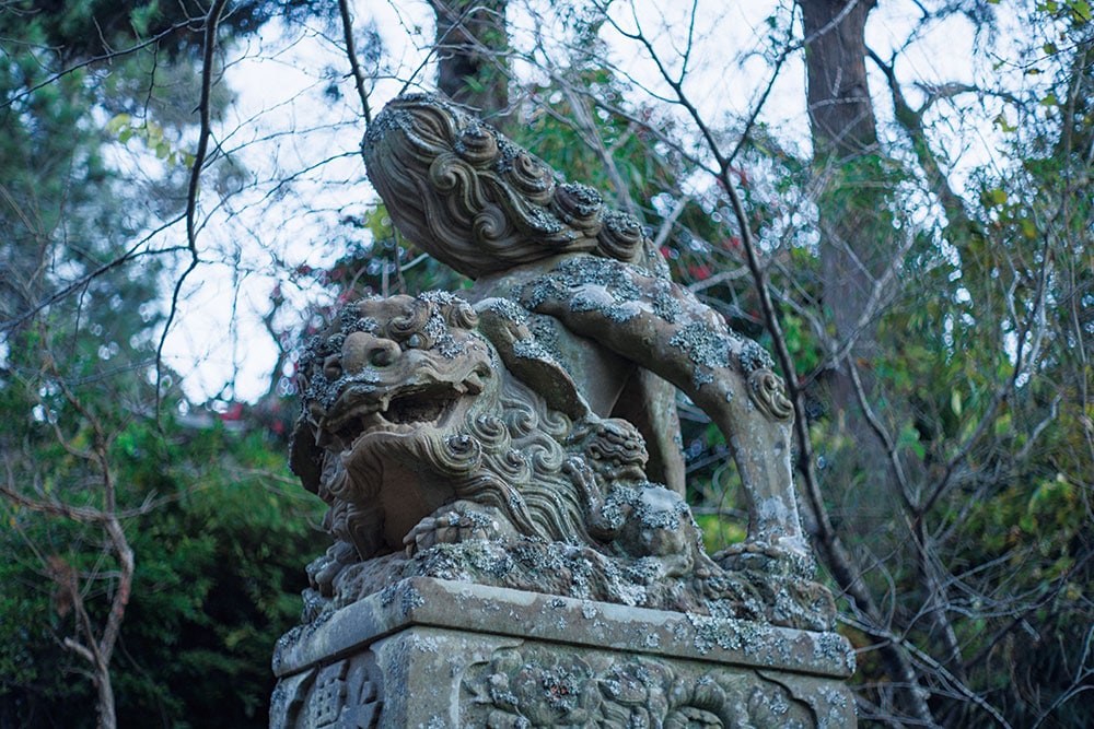 【中ノ島】隠岐神社の独特な姿勢の狛犬。