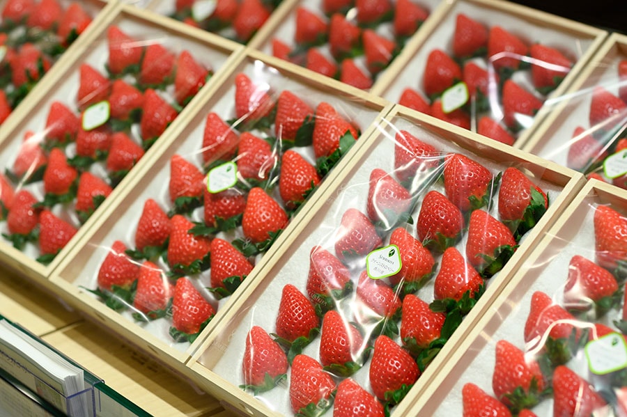 千疋屋総本店では香川県三木町で高設栽培と呼ばれる栽培方法で育てられたクイーンストロベリーを提供している。
