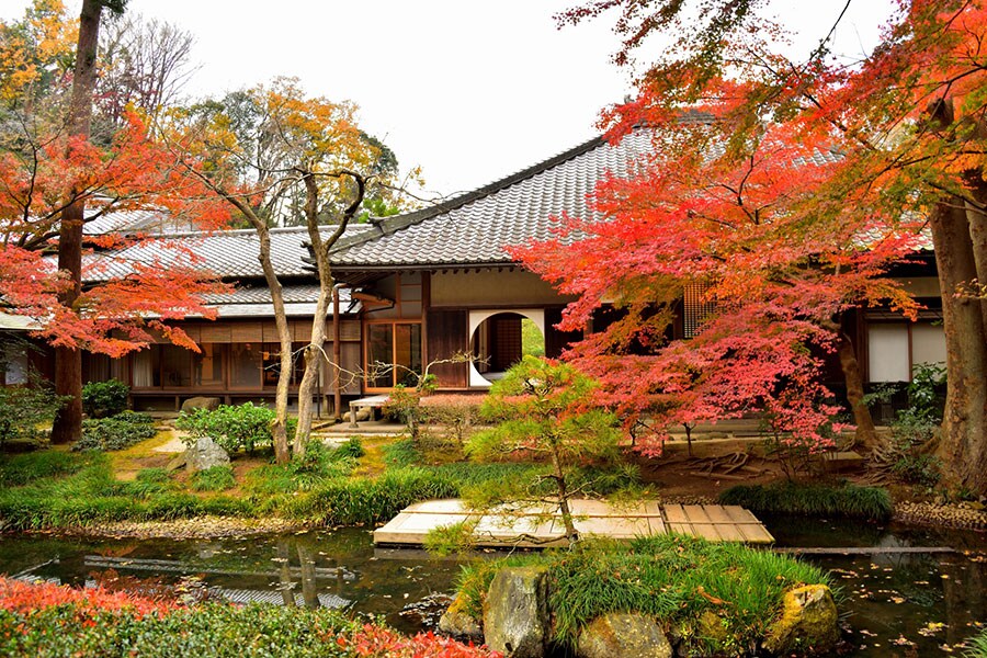 【神奈川県】明月院の紅葉。