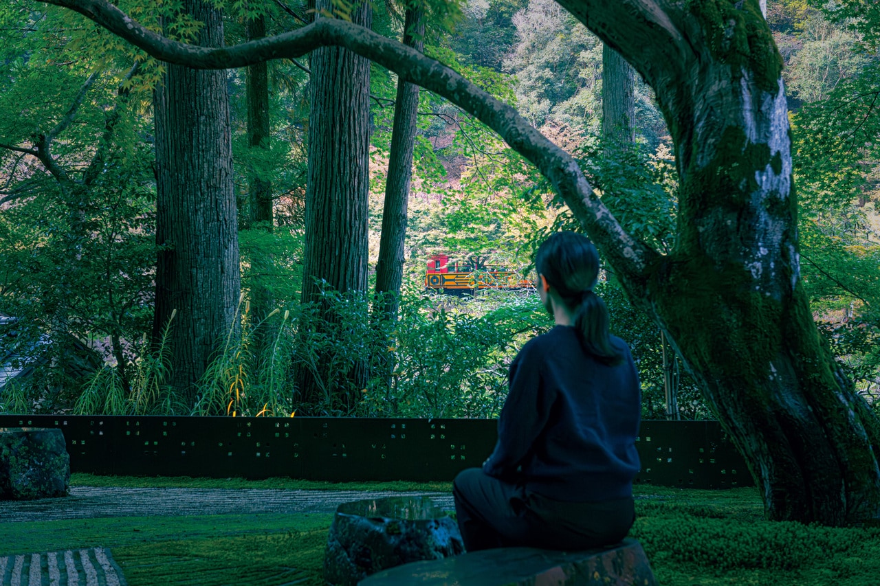 視点場とは、景観を眺めるための場所のこと。「奥の庭」の視点場は、樹齢約400年のオオモミジの木の下に置かれた景石。石に座ると、小倉山が借景として見える。