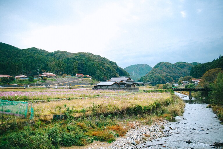初夏にはホタルも見られる三之瀬川沿いに萩焼深川窯の五窯が点在。