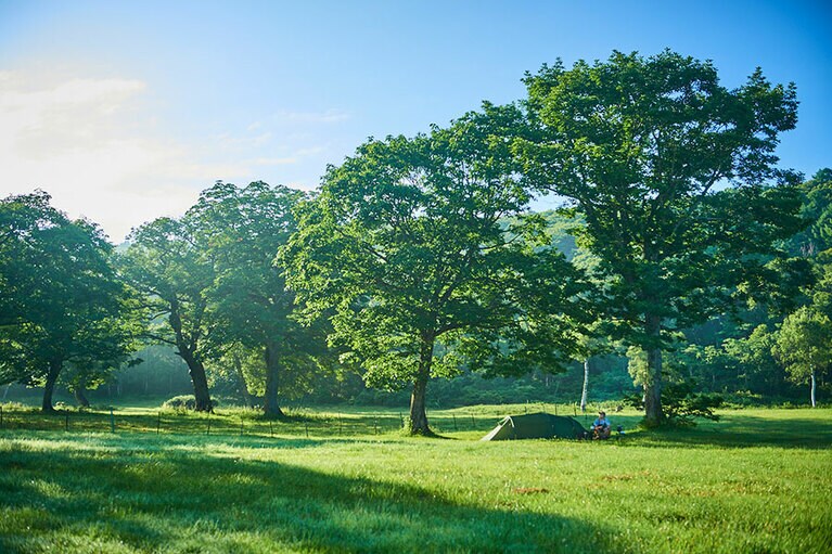 カヤの平高原キャンプ場