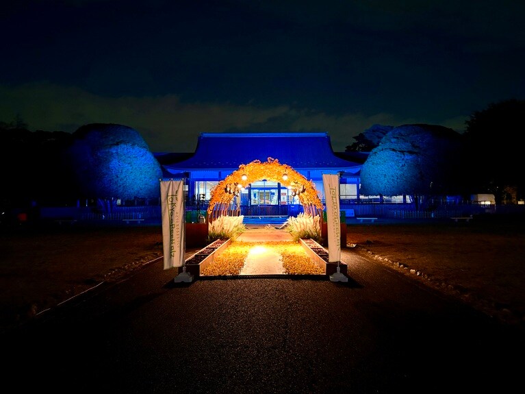 手前と奥で色合いが違う時のコントラストも美しい！　