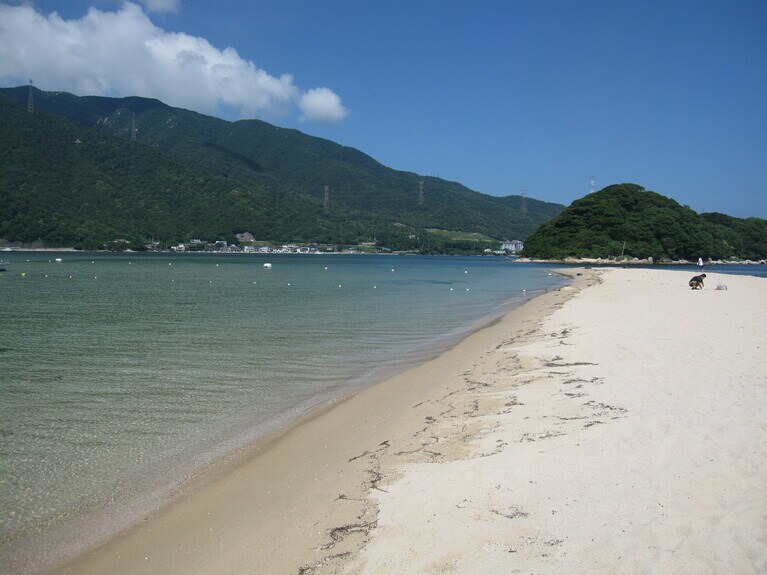 砂は海流で流されるため、よそから運んでくることも。砂止めの堤防を築けばいいけれど、それでは景観が悪くなる。悩ましいところだと、区長の古川さん。写真／敦賀観光協会