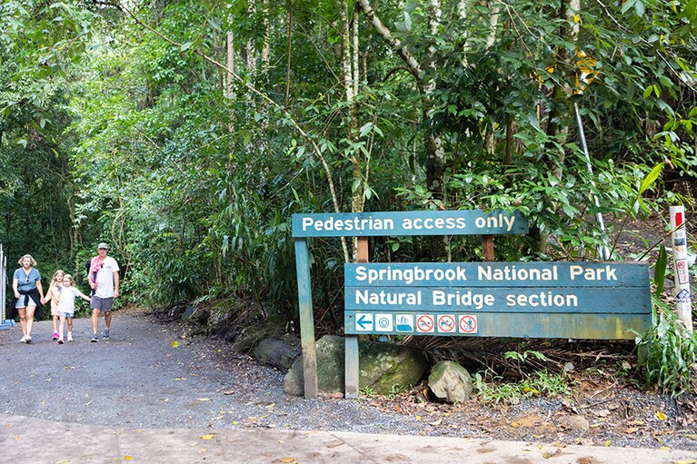 ナチュラル・ブリッジへと向かうウォーキングトラックの入り口。