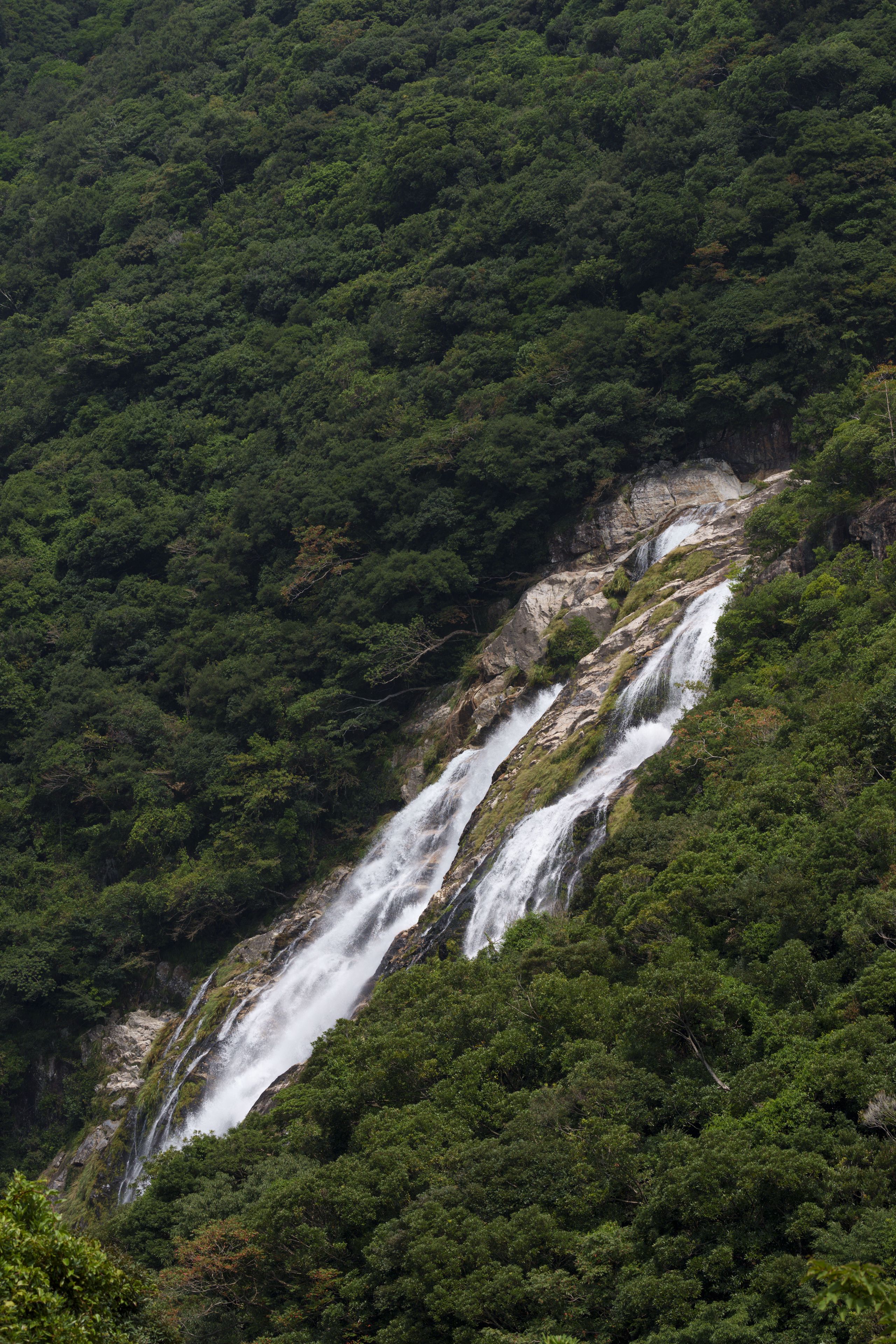 急峻な山肌を流れ落ちる大川の滝　©️大島淳之