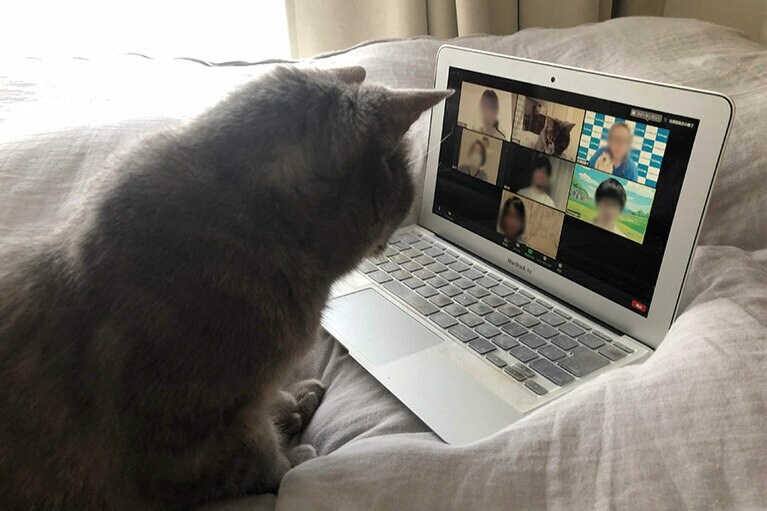 おお、見えた！　声援が大好きな愚。