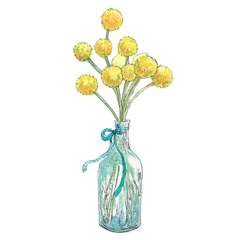 クラスペディア。