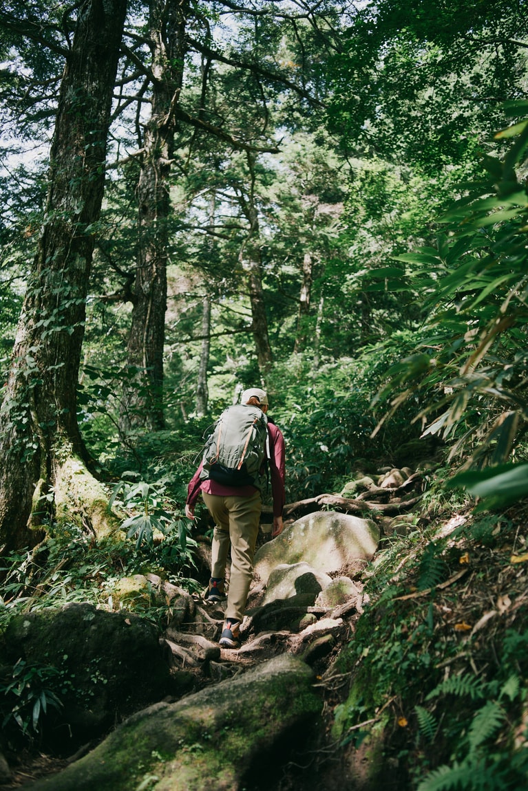 木々の間から木漏れ日が降り注ぎ、リラックスした気持ちに。