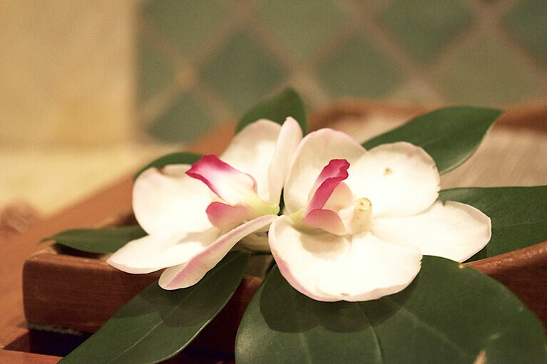 ジャスミンを浮かべた器やさまざまな蘭が、部屋のあちこちに飾られているので、シンプルな部屋も殺風景じゃない。