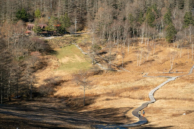 自然が作り出す黄金色のグラデーションは、心が洗われるような美しさ。