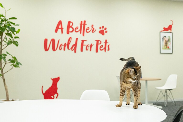 会社が掲げるビジョンの前でポージング。